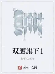 双鹰旗下1